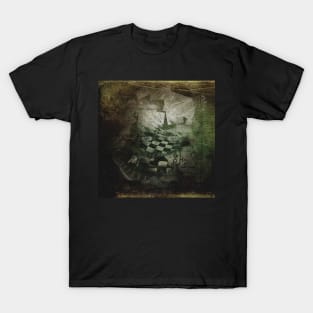 Spiral of time T-Shirt
